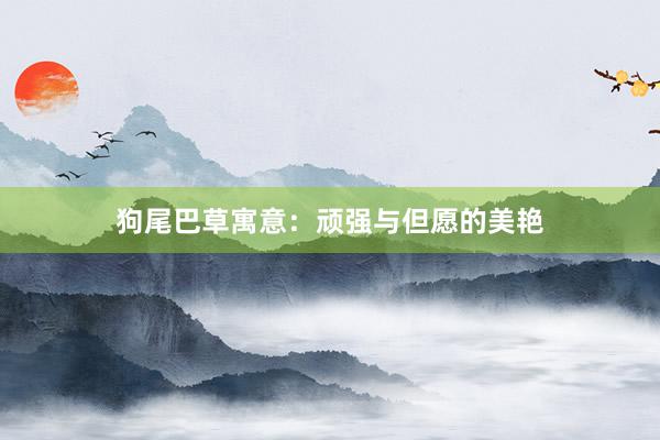 狗尾巴草寓意：顽强与但愿的美艳