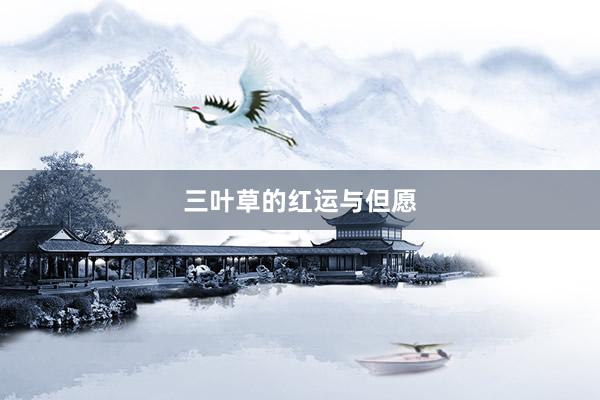 三叶草的红运与但愿
