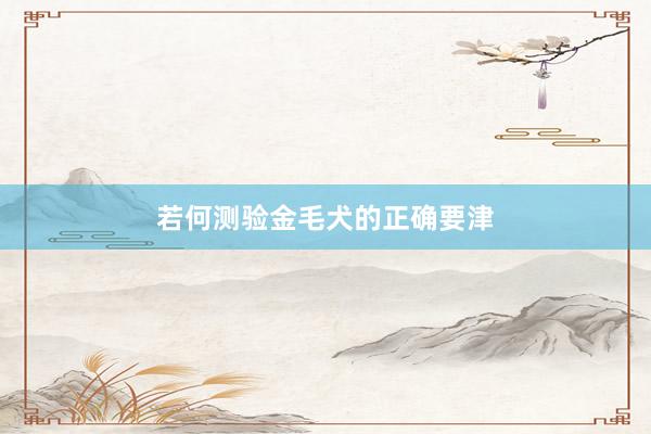 若何测验金毛犬的正确要津