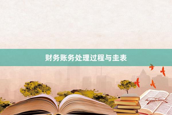 财务账务处理过程与圭表