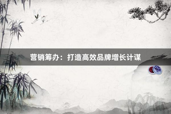 营销筹办：打造高效品牌增长计谋