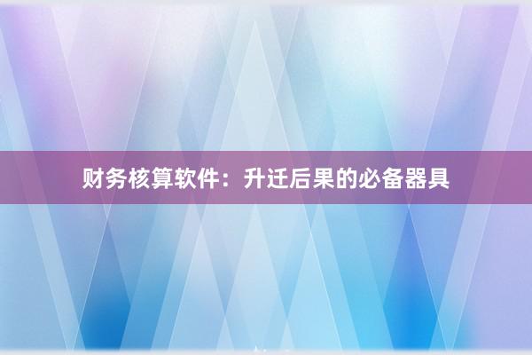 财务核算软件：升迁后果的必备器具