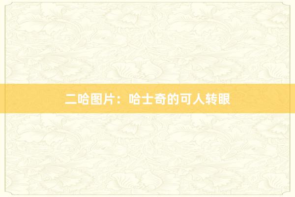 二哈图片:哈士奇的可人转眼